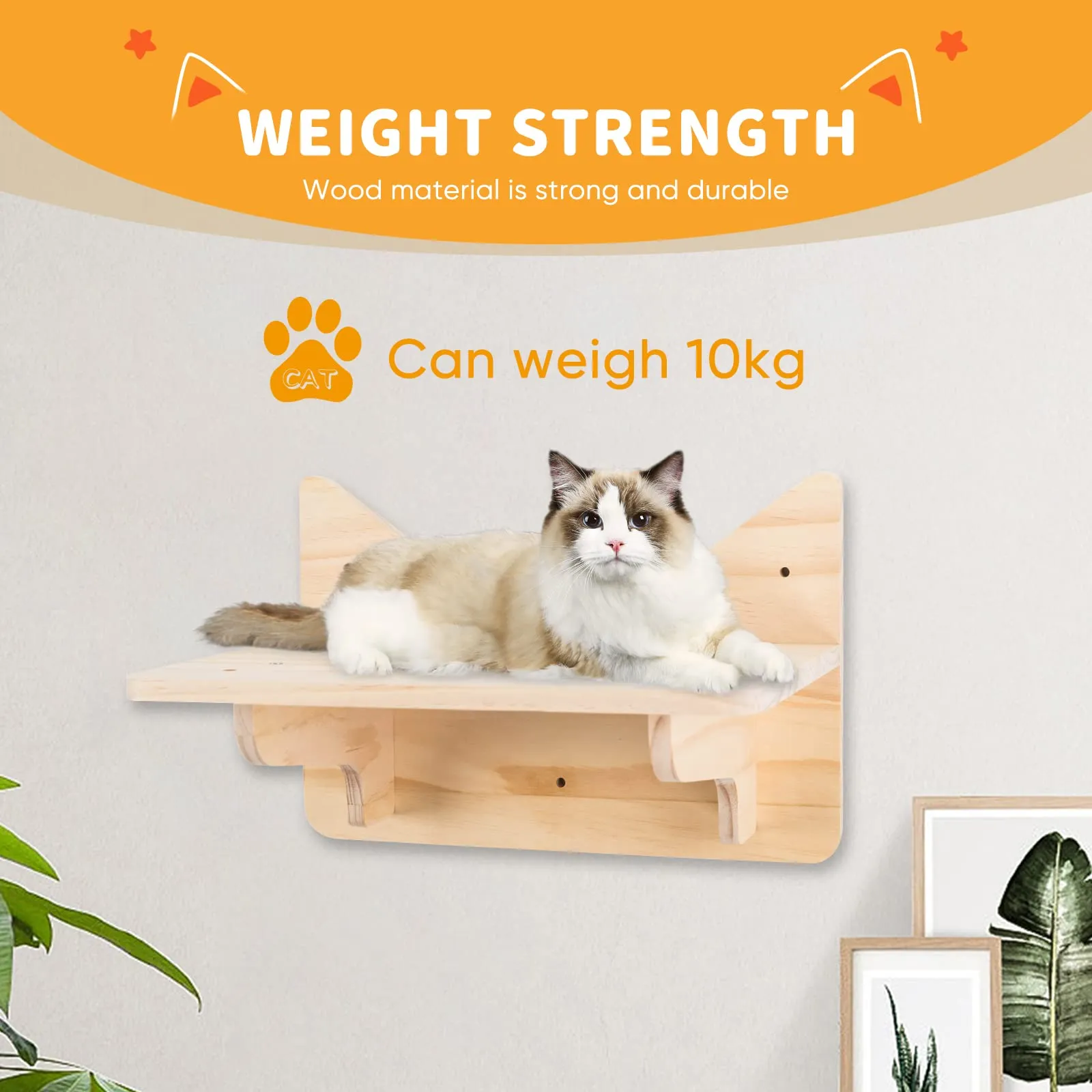 Pine Cat Wall Frame for Climbing, Set of 5 Furniture, Shelves and Perches, House, Sisal Post Ladder, Steps and Travel Platform