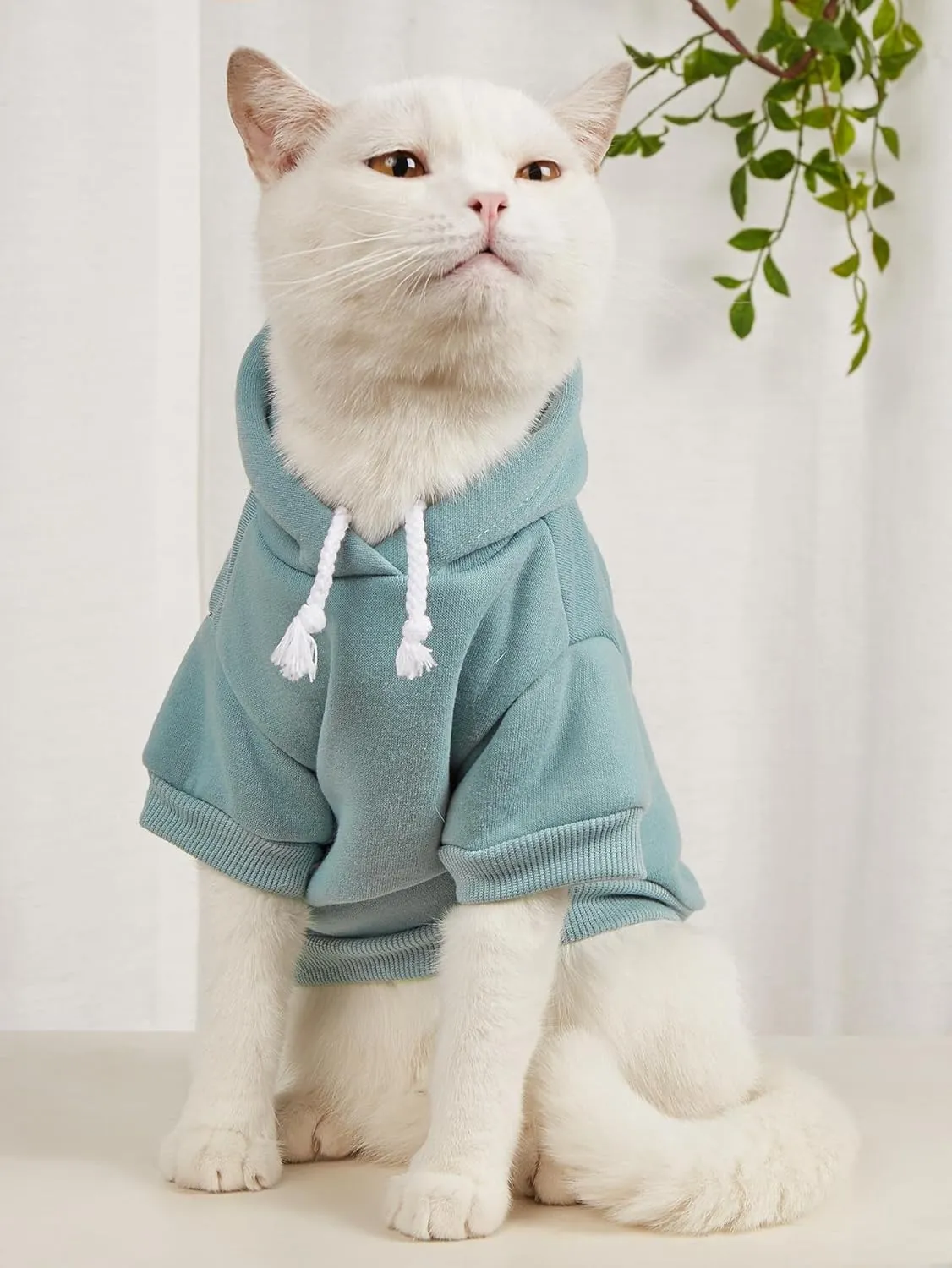 QWEEE 3Pcs Basic Dog Hoodie & Cat Apparel - Dog & Cat Warm Jacket, Shirt & Clothes for Puppy & Kitten - Small & Medium Sizes - Black, Green & Grey Medium