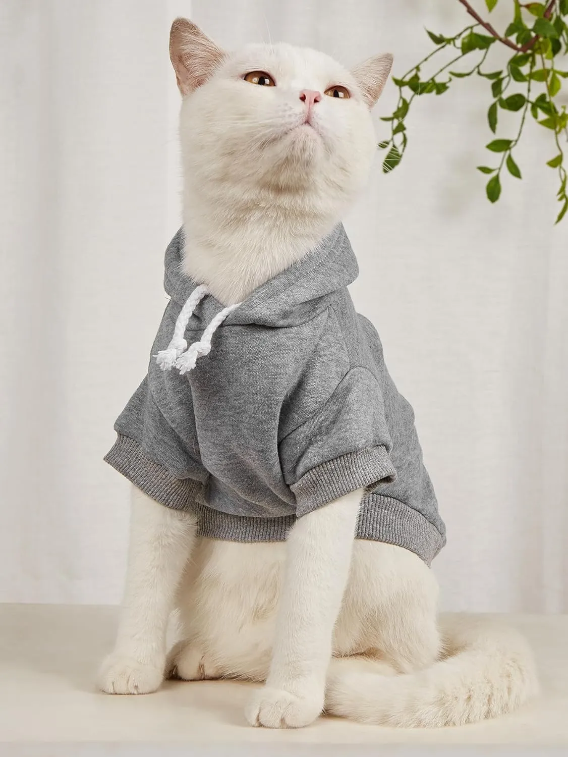 QWEEE 3Pcs Basic Dog Hoodie & Cat Apparel - Dog & Cat Warm Jacket, Shirt & Clothes for Puppy & Kitten - Small & Medium Sizes - Black, Green & Grey Medium