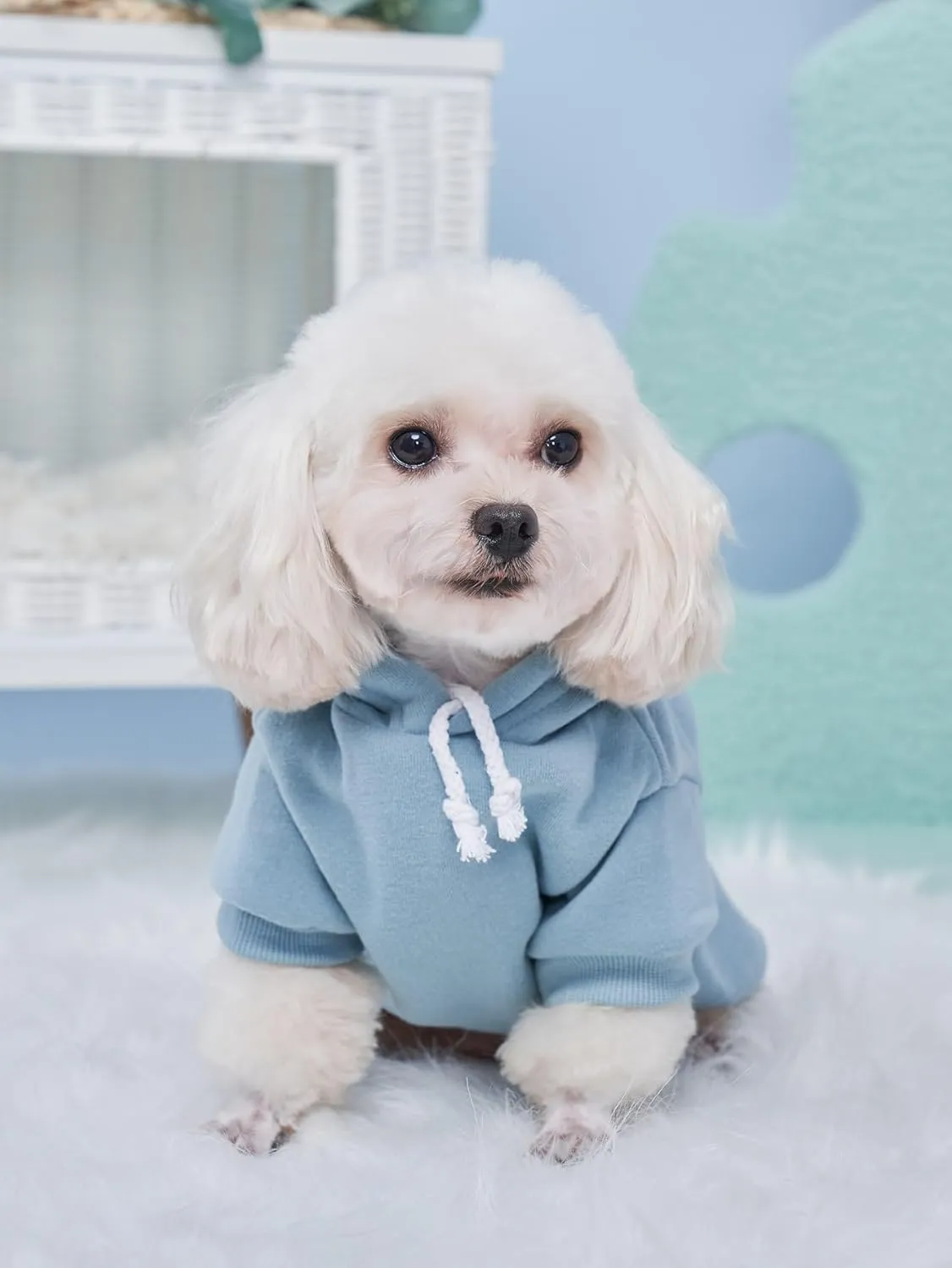 QWEEE 3Pcs Basic Dog Hoodie & Cat Apparel - Dog & Cat Warm Jacket, Shirt & Clothes for Puppy & Kitten - Small & Medium Sizes - Black, Green & Grey Medium
