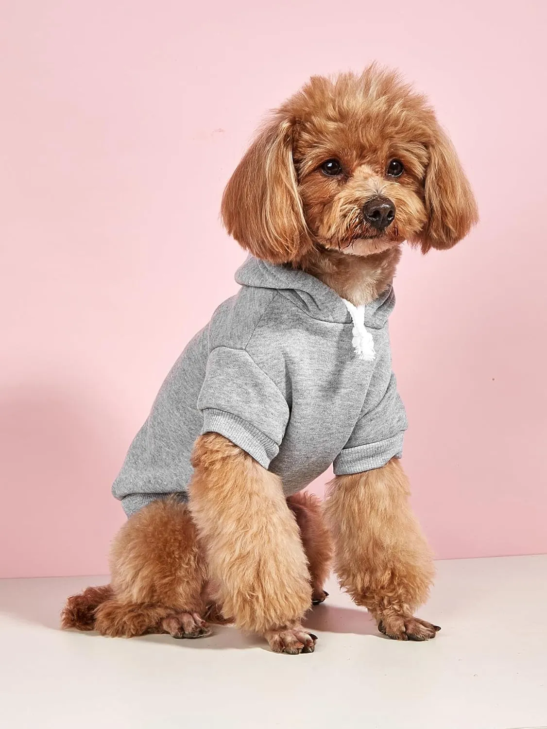 QWEEE 3Pcs Basic Dog Hoodie & Cat Apparel - Dog & Cat Warm Jacket, Shirt & Clothes for Puppy & Kitten - Small & Medium Sizes - Black, Green & Grey Medium