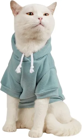 QWINEE Basic Dog Hoodie & Cat Apparel, Warm Jacket & Shirt for Puppy to Medium Dogs & Cats, Cadet Blue M
