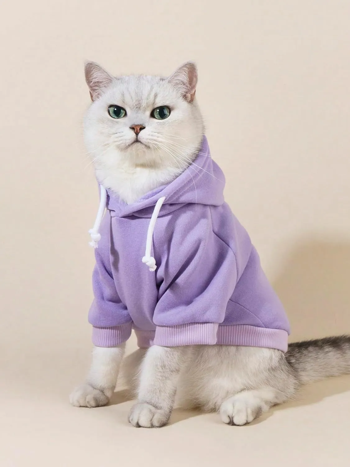 QWINEE Basic Dog Hoodie, Dog Warm Jacket, Cat Apparel, Dog Shirt, Dog Clothes for Puppy Kitten Small Medium Dogs Cats Mauve Purple M