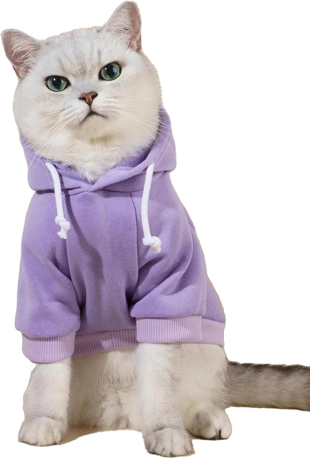 QWINEE Basic Dog Hoodie, Dog Warm Jacket, Cat Apparel, Dog Shirt, Dog Clothes for Puppy Kitten Small Medium Dogs Cats Mauve Purple M