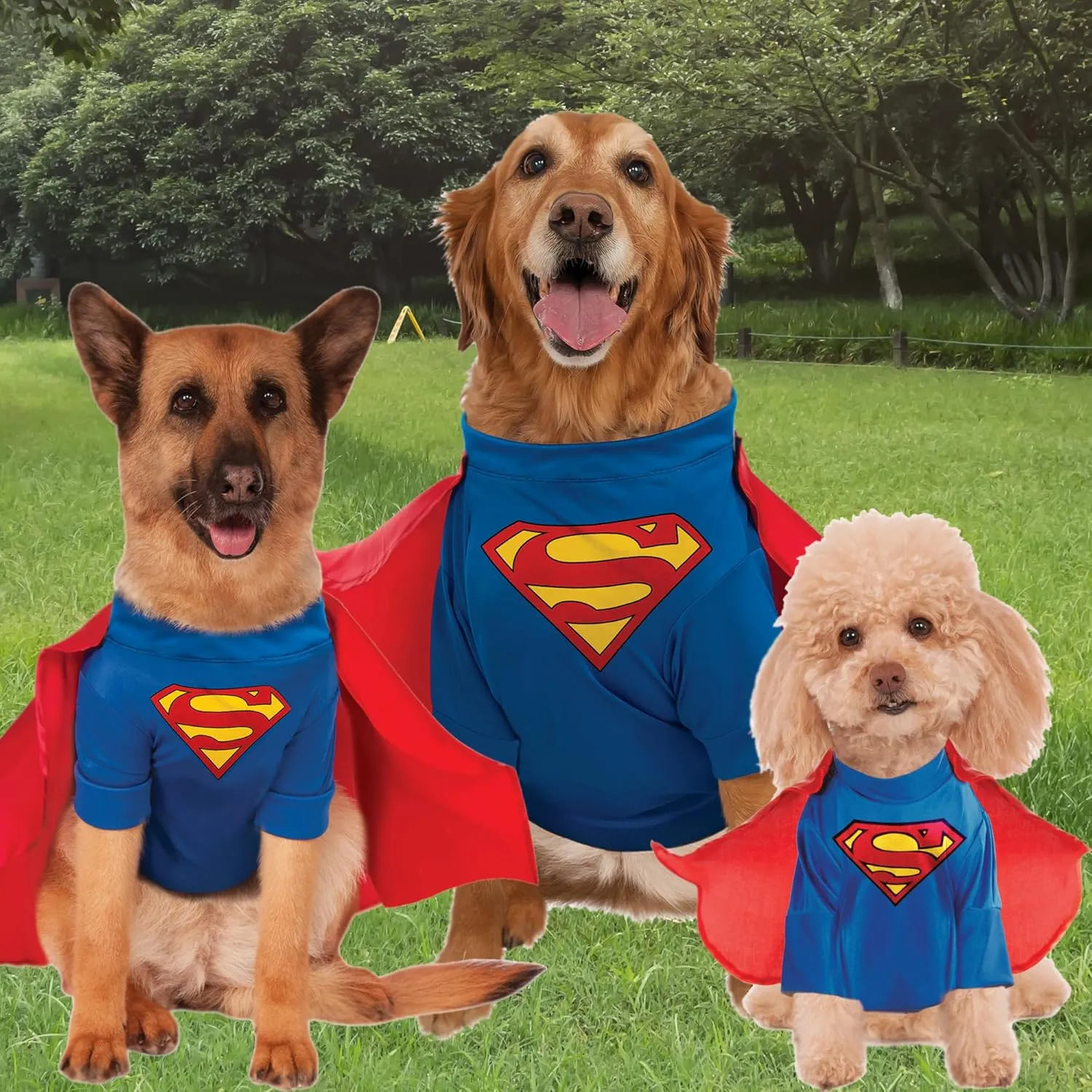 Rubies DC Comics Superman with Arms Pet Costume for Themed Parties and Halloween, Small