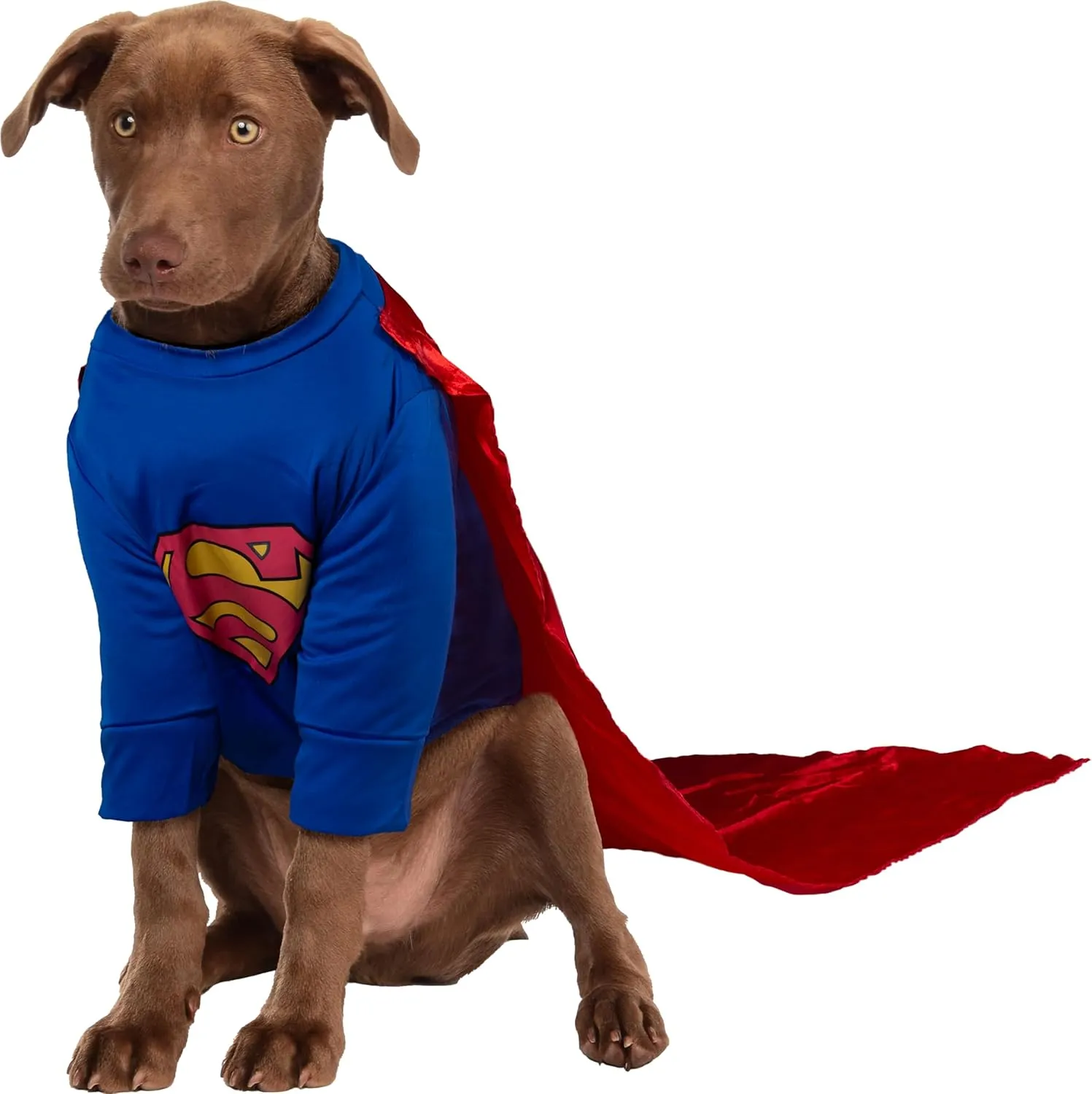 Rubies DC Comics Superman with Arms Pet Costume for Themed Parties and Halloween, Small