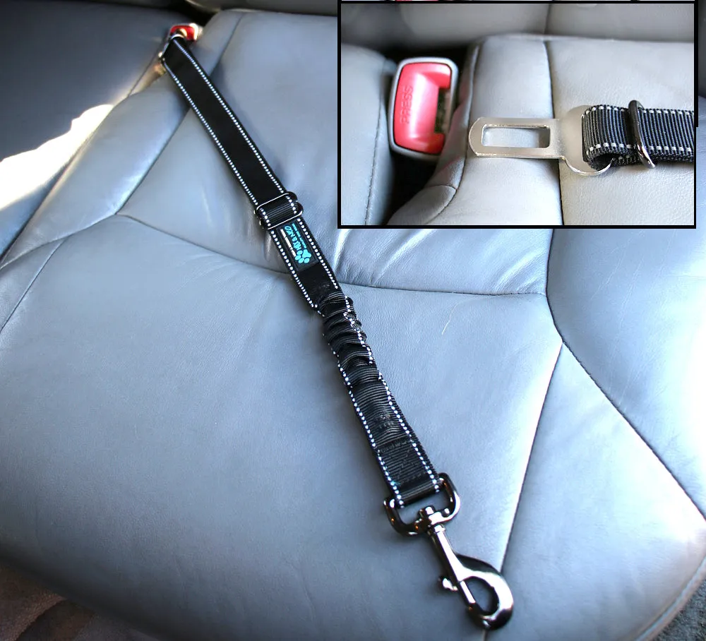 Seat Belt Bungee Harness Car Leash
