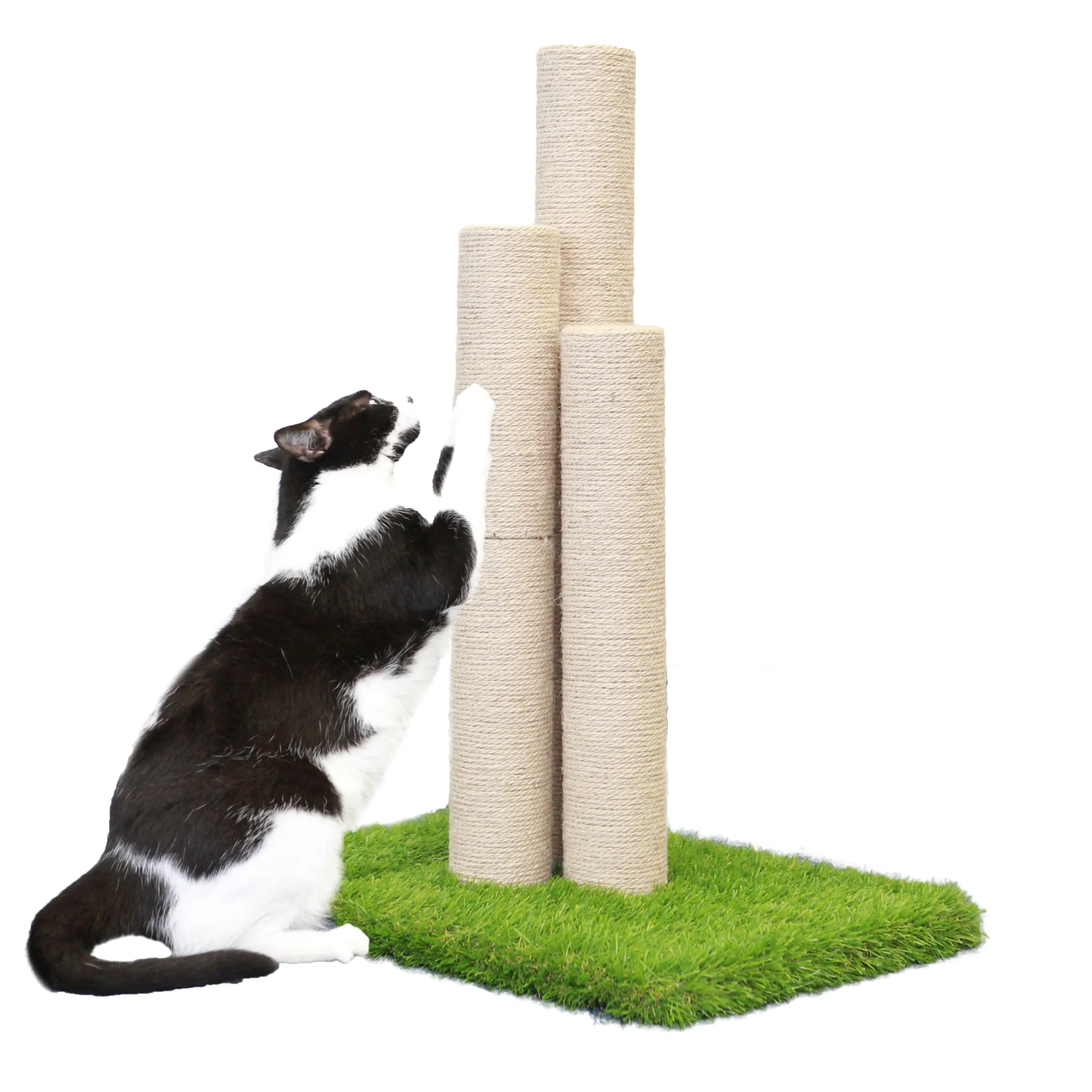 Skyline Scratching Post