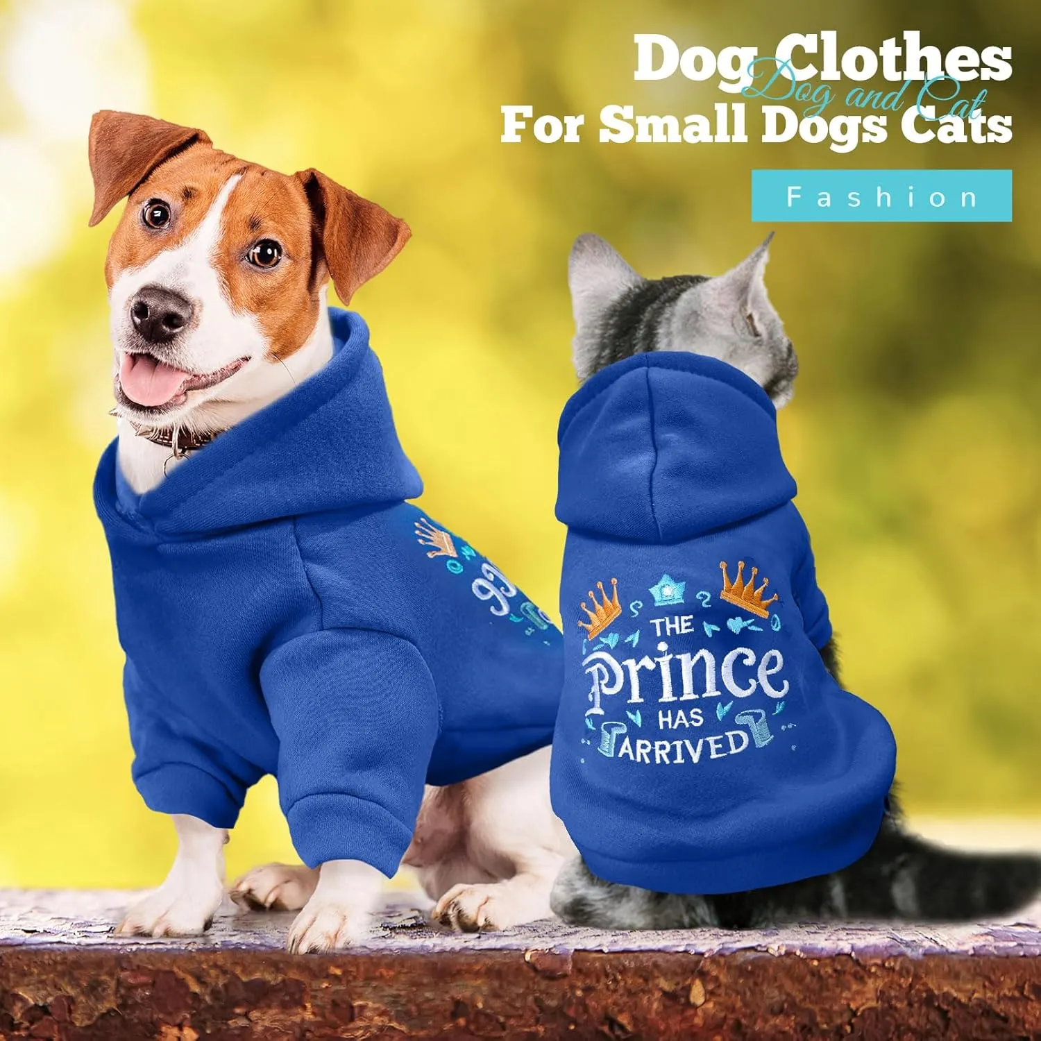 Small Dog Hoodie Clothes Cute Blue Prince Fleece Dog Sweater for Small Dogs Cat Boy Warm Puppy Sweatshirt with Leash D Ring Fall Winter XS Tiny Pet Doggy Outfit Chihuahua Yorkie Shihtzu(Blue,M)