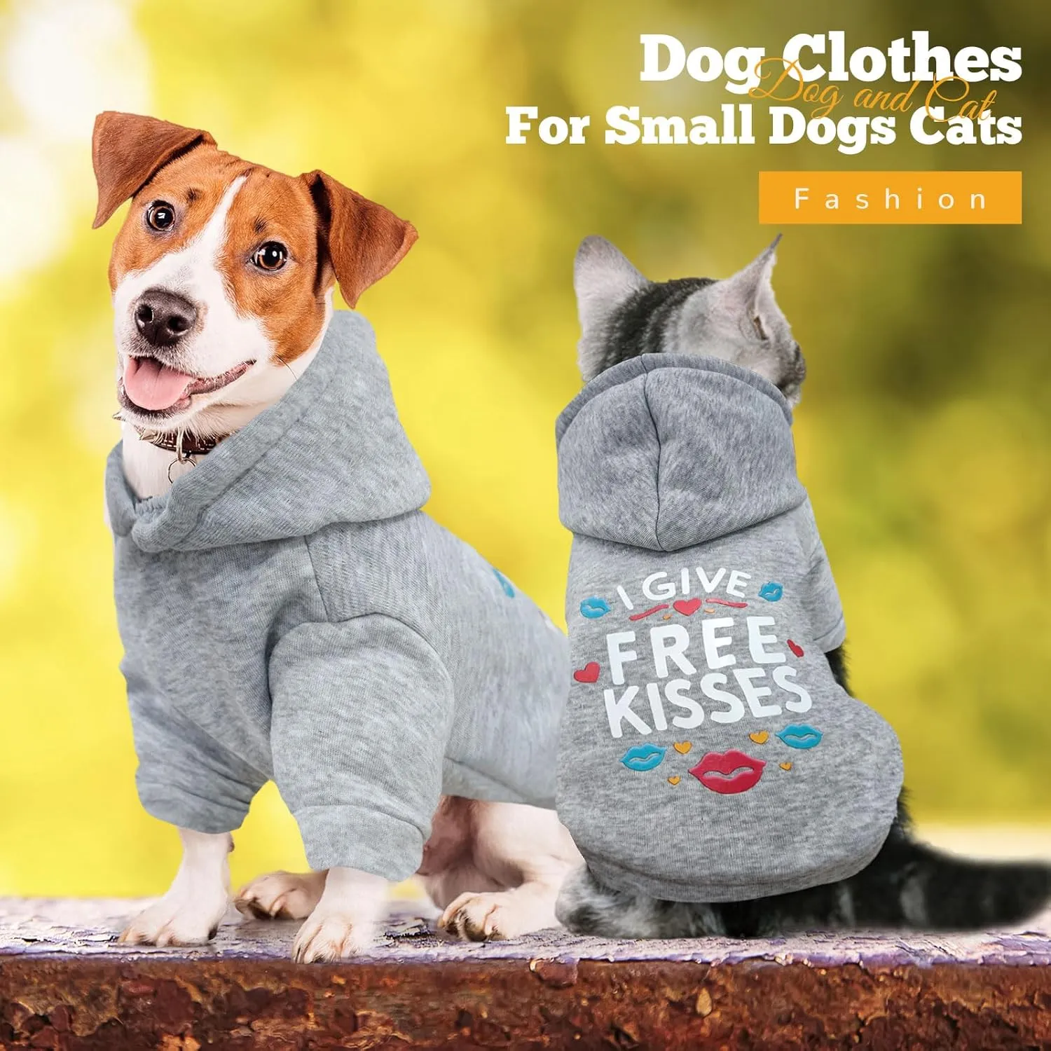 Small Dog Hoodie Clothes Warm Fleece Dog Sweater for Small Dogs Cats Boy Girl Cute Grey Puppy Sweatshirt with Leash Hole Fall Winter XS Pet Outfit Costume Chihuahua Yorkie Shihtzu(Grey,XL)