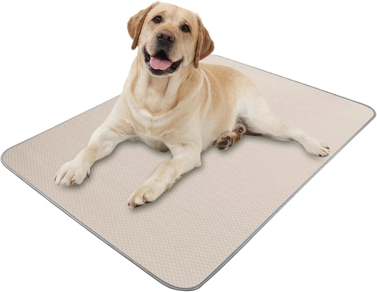 Summer Dog Cooling Mat Washable Ice Silk Self Cool Pad for Medium Dogs and Cats, 40x28in Pet Sleeping Pad for Crate, Bed, Indoor & Outdoor Floor, Car Seats (Champagne, 40x28in)